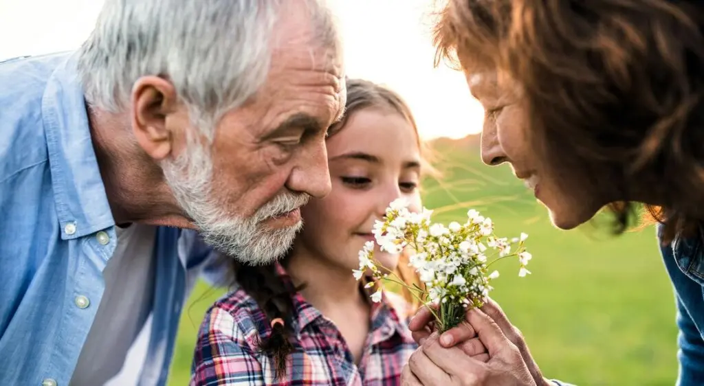A Gentle Wave: New Hope for the Sense of Smell